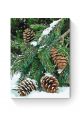 Картина по номерам на подрамнике «Еловая ветвь» 90x70 см
