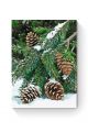 Картина по номерам на подрамнике «Еловая ветвь» 80x60 см