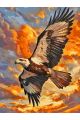 Картина по номерам на подрамнике «Полёт орла» 80x60 см