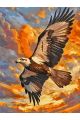 Картина по номерам без подрамника «Полёт орла» 130x100 см