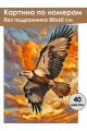 Картина по номерам без подрамника «Полёт орла» 80x60 см