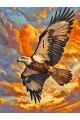 Картина по номерам без подрамника «Полёт орла» 80x60 см