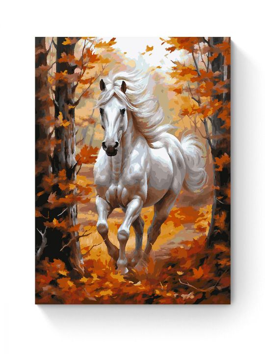 Картина по номерам на подрамнике «Белый конь» 80x60 см