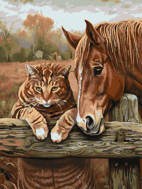 Картина по номерам без подрамника «Кот и лошадь» 80x60 см