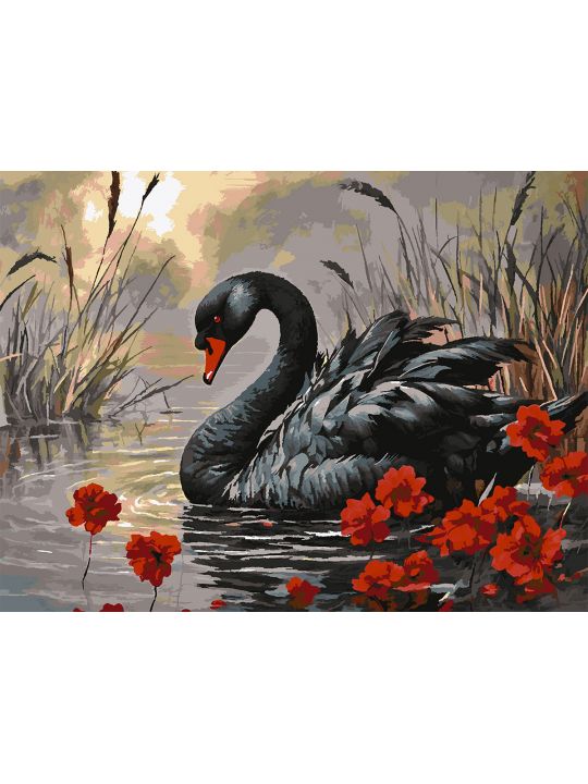 Картина по номерам без подрамника «Черный лебедь» 130x100 см