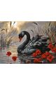 Картина по номерам без подрамника «Черный лебедь» 130x100 см