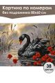 Картина по номерам без подрамника «Черный лебедь» 80x60 см