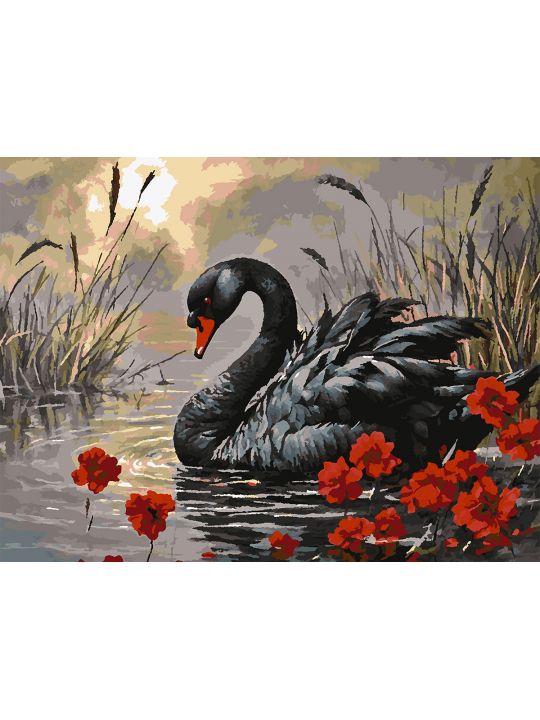 Картина по номерам без подрамника «Черный лебедь» 80x60 см