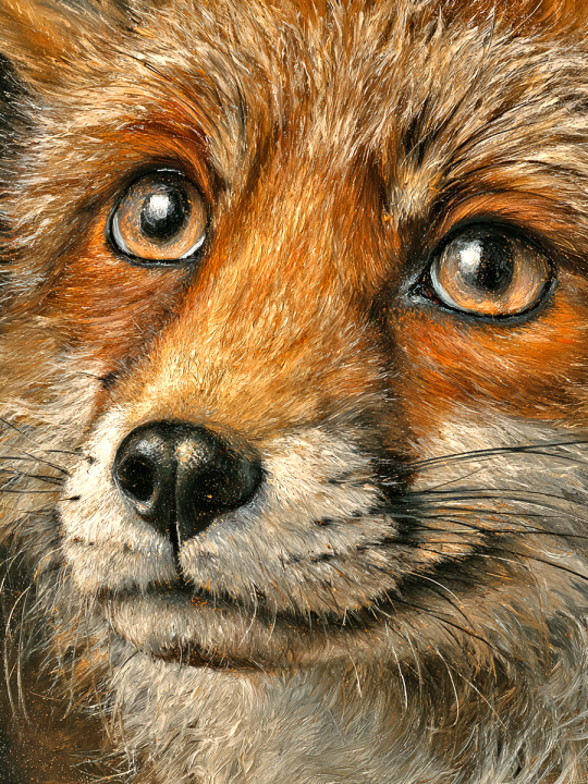 Алмазная мозаика без подрамника «Рыжий лис» 50x40 см