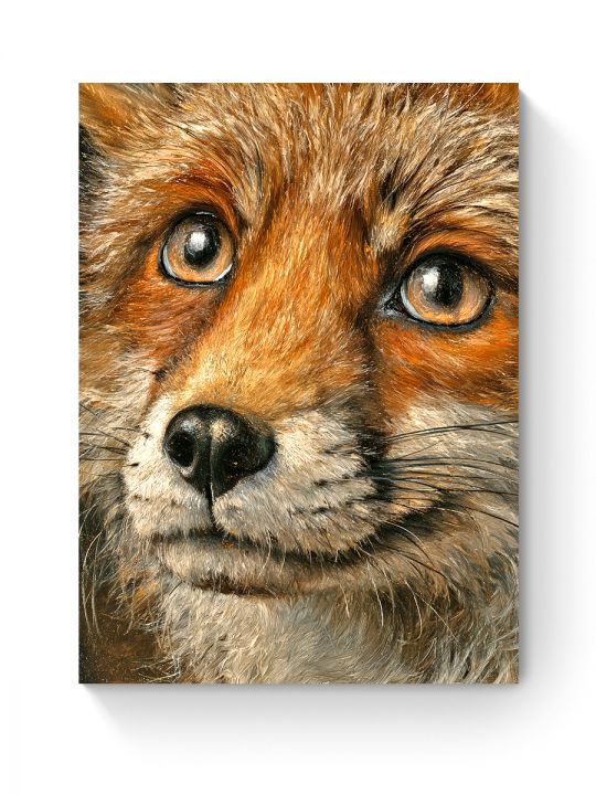 Алмазная мозаика на подрамнике «Рыжий лис» 40x30 см