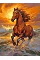 Алмазная мозаика без подрамника «Конь на закате» 130x100 см