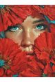 Алмазная мозаика на подрамнике «Девушка в маках» 50x40 см