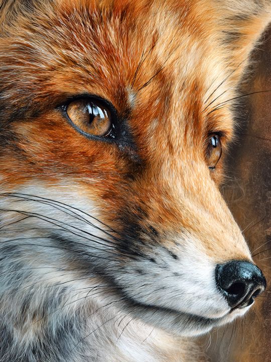 Алмазная мозаика без подрамника «Лисица» 70x50 см, 43 цветов