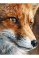 Алмазная мозаика без подрамника «Лисица» 90x70 см