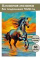 Алмазная мозаика без подрамника «Конь на закате» 70x50 см