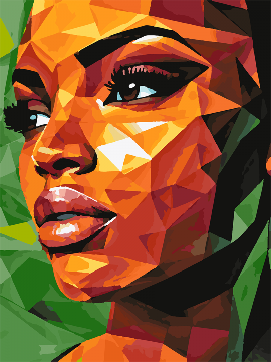 Картина по номерам без подрамника «Дива Африки» 35x25 см