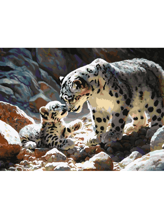 Картина по номерам без подрамника «Снежные барсы» 35x25 см