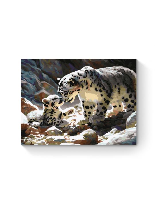 Картина по номерам на подрамнике «Снежные барсы» 25x20 см