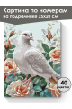 Картина по номерам на подрамнике «Белая голубка» 25x20 см