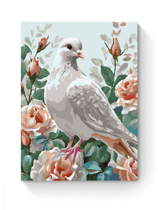 Картина по номерам на подрамнике «Белая голубка» 25x20 см