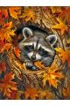 Алмазная мозаика без подрамника «Енот и осень» 50x40 см, 46 цветов