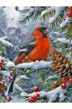 Алмазная мозаика без подрамника «Зимняя птичка» 40x30 см