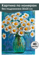 Картина по номерам без подрамника «Ромашки» 35x25 см
