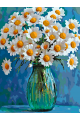 Картина по номерам без подрамника «Ромашки» 25x20 см