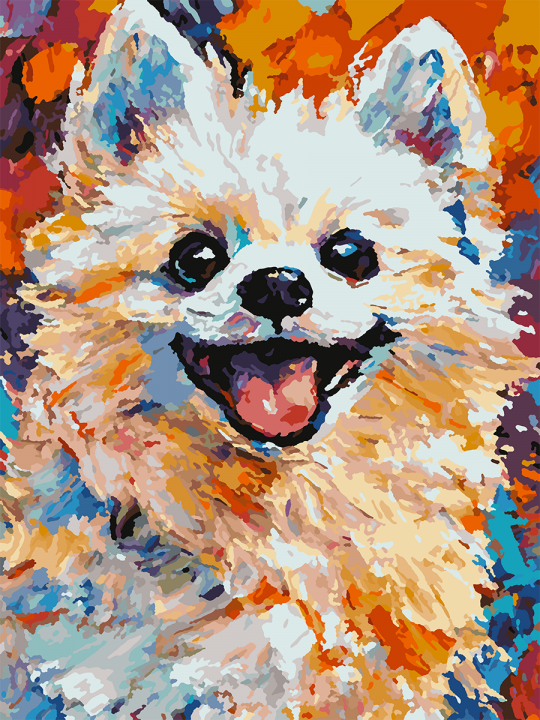 Картина по номерам без подрамника «Яркий шпиц» 35x25 см
