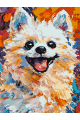 Картина по номерам без подрамника «Яркий шпиц» 35x25 см