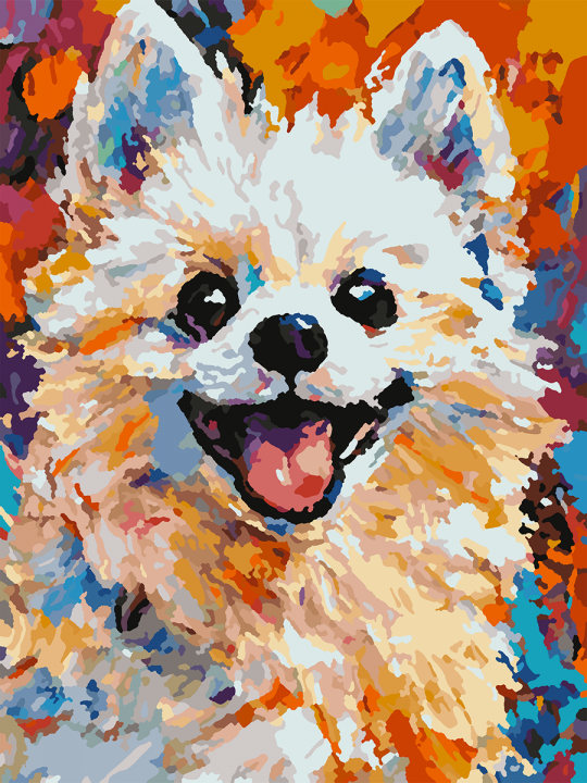 Картина по номерам без подрамника «Яркий шпиц» 25x20 см
