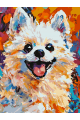 Картина по номерам без подрамника «Яркий шпиц» 25x20 см