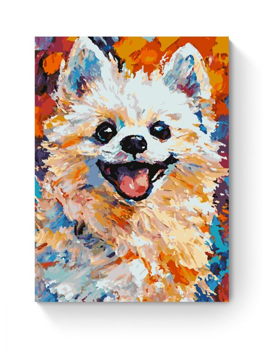 Картина по номерам на подрамнике «Яркий шпиц» 35x25 см