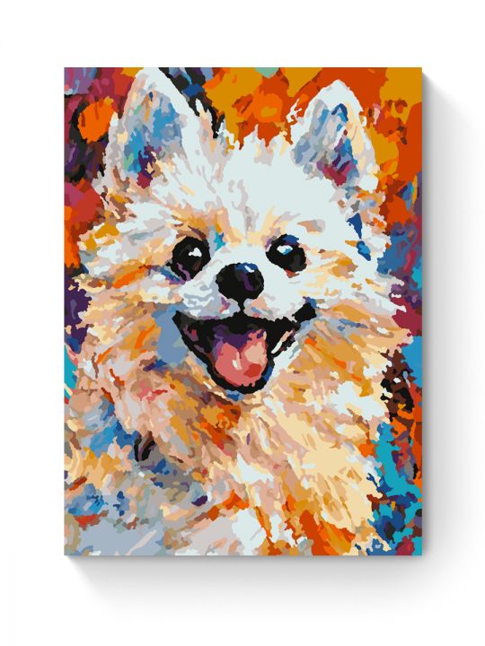 Картина по номерам на подрамнике «Яркий шпиц» 25x20 см