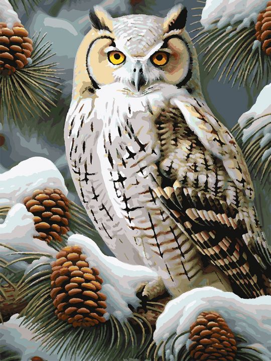 Картина по номерам без подрамника «Совушка» 70x50 см