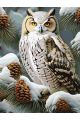 Картина по номерам без подрамника «Совушка» 70x50 см