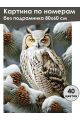 Картина по номерам без подрамника «Совушка» 80x60 см