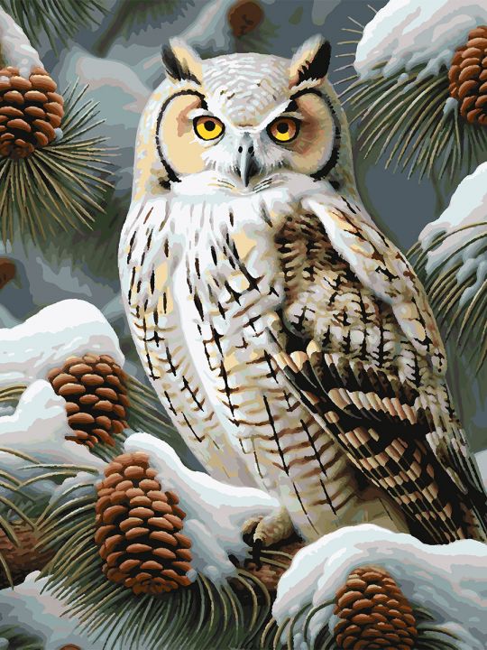 Картина по номерам без подрамника «Совушка» 80x60 см