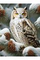 Картина по номерам без подрамника «Совушка» 80x60 см