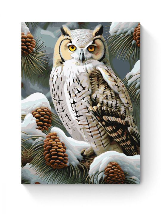 Картина по номерам на подрамнике «Совушка» 70x50 см