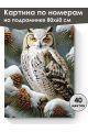Картина по номерам на подрамнике «Совушка» 80x60 см