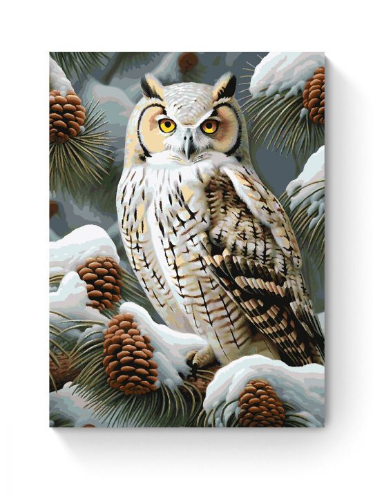 Картина по номерам на подрамнике «Совушка» 80x60 см