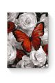 Картина по номерам на подрамнике «Бабочка» 70x50 см