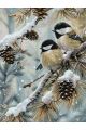 Картина по номерам без подрамника «Синички зимой» 70x50 см
