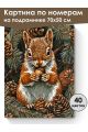 Картина по номерам на подрамнике «Белочка» 70x50 см