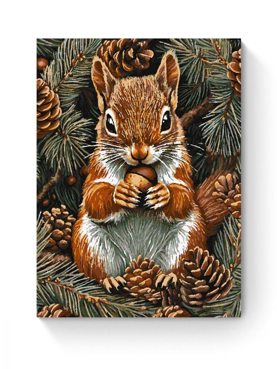 Картина по номерам на подрамнике «Белочка» 70x50 см