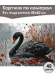 Картина по номерам без подрамника «Чёрный лебедь» 80x60 см