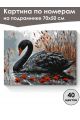 Картина по номерам на подрамнике «Чёрный лебедь» 70x50 см