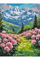 Картина по номерам на подрамнике «Долина пионов» 90x70 см