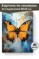 Картина по номерам на подрамнике «Бабочка» 80x60 см